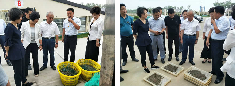 新聞=省委胥秘書長與省農(nóng)業(yè)農(nóng)村廳楊廳長一行及市、縣等領(lǐng)導，來我司視察05.jpg